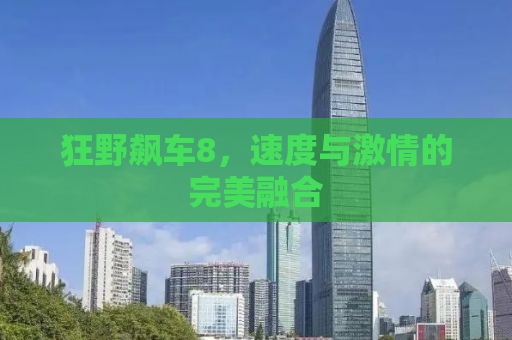 狂野飙车8，速度与激情的完美融合