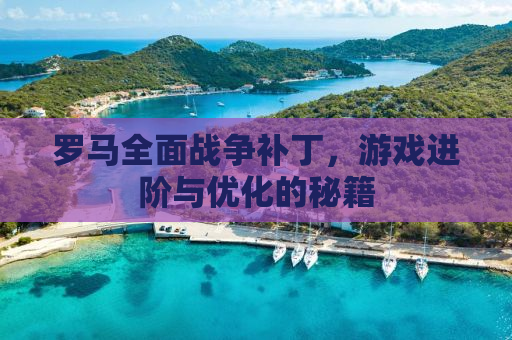 罗马全面战争补丁，游戏进阶与优化的秘籍
