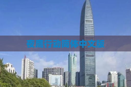 夜鹰行动简体中文版