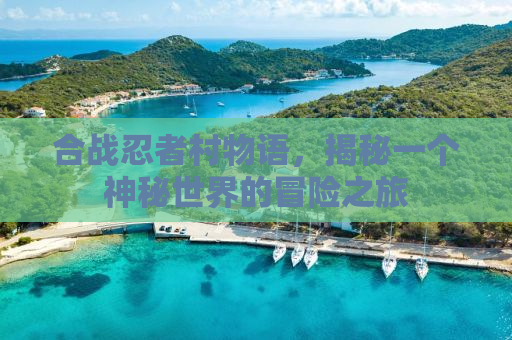 合战忍者村物语，揭秘一个神秘世界的冒险之旅