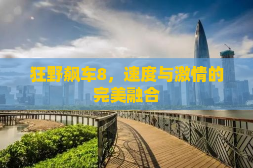 狂野飙车8，速度与激情的完美融合