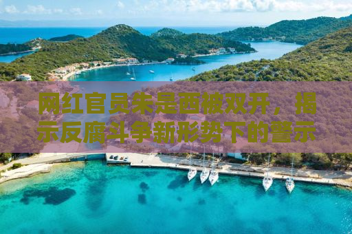 网红官员朱是西被双开，揭示反腐斗争新形势下的警示与反思