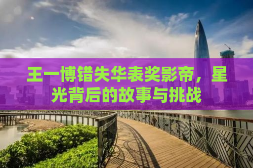 王一博错失华表奖影帝，星光背后的故事与挑战