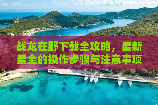 战龙在野下载全攻略，最新最全的操作步骤与注意事项
