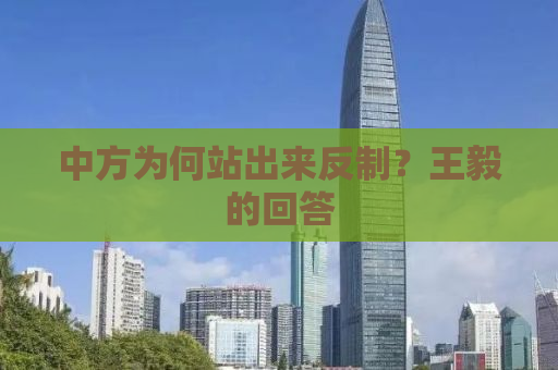 中方为何站出来反制？王毅的回答