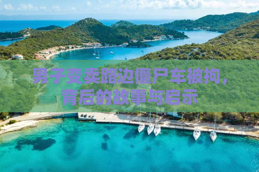 男子变卖路边僵尸车被拘，背后的故事与启示