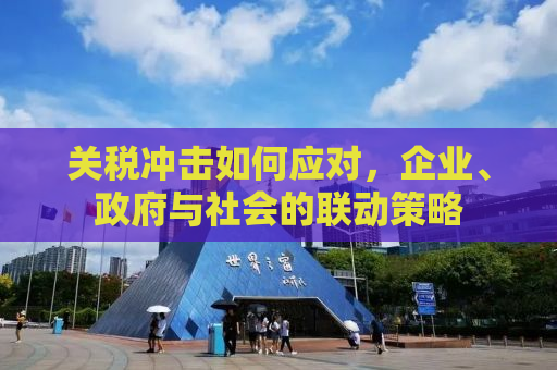 关税冲击如何应对，企业、政府与社会的联动策略