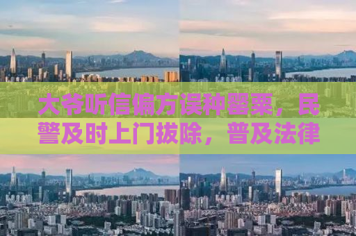 大爷听信偏方误种罂粟，民警及时上门拔除，普及法律知识传递正能量