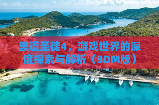 黑道圣徒4，游戏世界的深度探索与解析（3DM版）