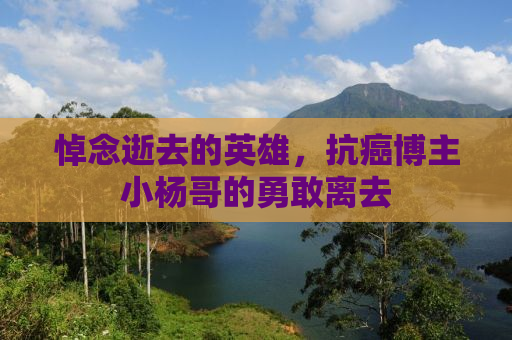 悼念逝去的英雄，抗癌博主小杨哥的勇敢离去