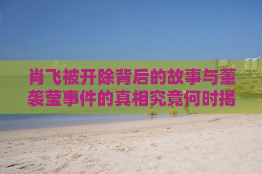肖飞被开除背后的故事与董袭莹事件的真相究竟何时揭晓？