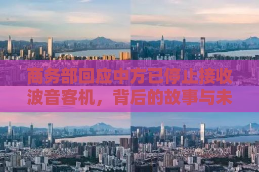 商务部回应中方已停止接收波音客机，背后的故事与未来展望
