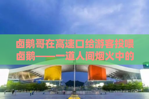 卤鹅哥在高速口给游客投喂卤鹅——一道人间烟火中的美味邂逅