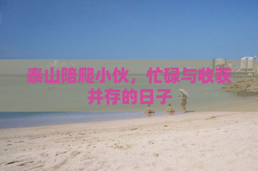 泰山陪爬小伙，忙碌与收获并存的日子