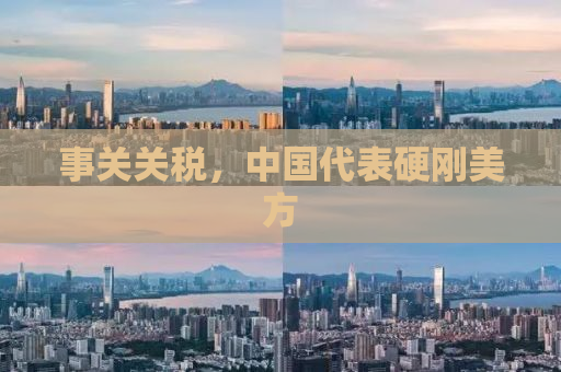 事关关税，中国代表硬刚美方