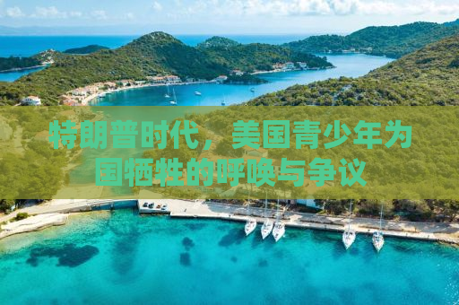特朗普时代，美国青少年为国牺牲的呼唤与争议