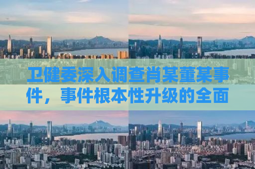 卫健委深入调查肖某董某事件，事件根本性升级的全面解析