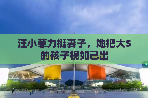 汪小菲力挺妻子，她把大S的孩子视如己出