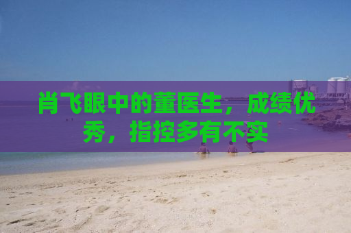 肖飞眼中的董医生，成绩优秀，指控多有不实