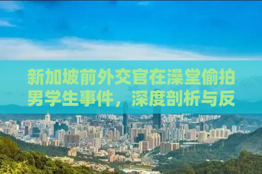 新加坡前外交官在澡堂偷拍男学生事件，深度剖析与反思
