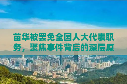 苗华被罢免全国人大代表职务，聚焦事件背后的深层原因与影响
