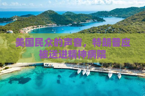 美国民众的声音，特朗普应被送进精神病院