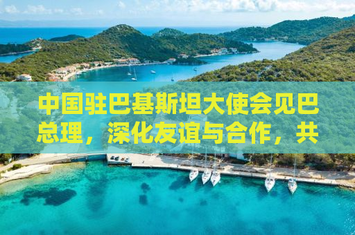 中国驻巴基斯坦大使会见巴总理，深化友谊与合作，共筑中巴未来