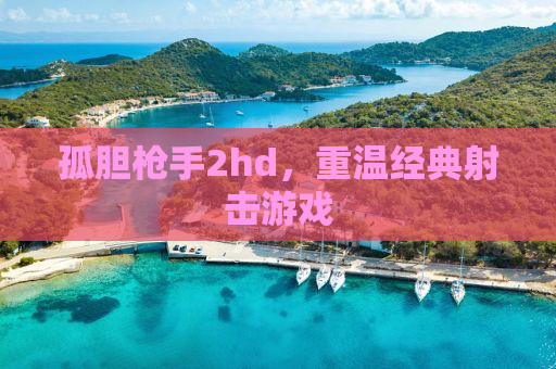 孤胆枪手2hd，重温经典射击游戏