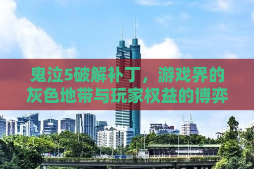 鬼泣5破解补丁，游戏界的灰色地带与玩家权益的博弈