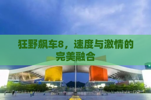 狂野飙车8，速度与激情的完美融合
