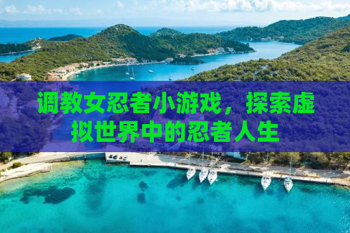 调教女忍者小游戏，探索虚拟世界中的忍者人生