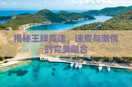 揭秘王牌竞速，速度与激情的完美融合
