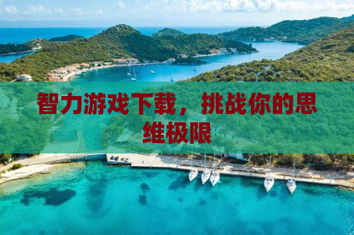 智力游戏下载，挑战你的思维极限