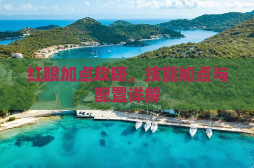 红眼加点攻略，技能加点与配置详解
