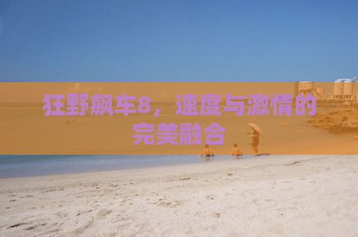 狂野飙车8，速度与激情的完美融合