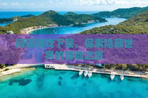 间谍游戏下载，探索隐蔽世界的冒险之旅