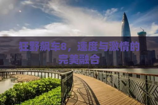 狂野飙车8，速度与激情的完美融合